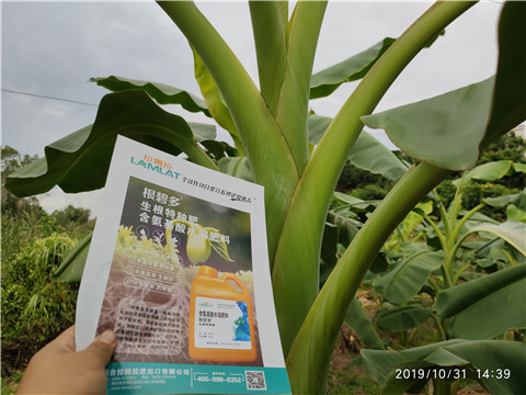 葉面肥，微生物菌劑，硼肥，水溶肥