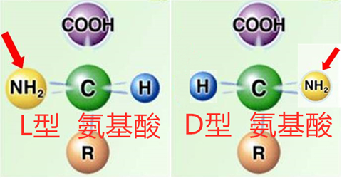 氨基酸葉面肥,拉姆拉,翠姆