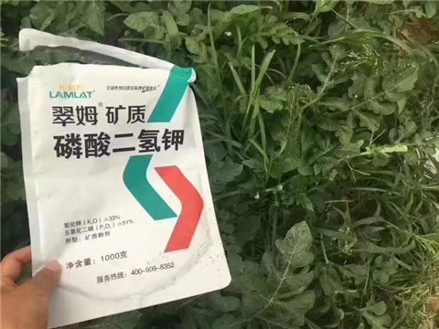 磷酸二氫鉀，硼肥，沖施肥